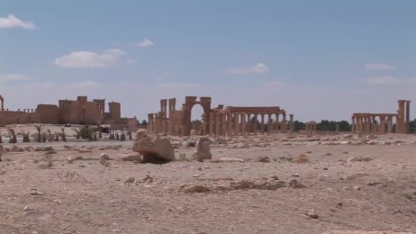 Syria: Syte of Palmyra