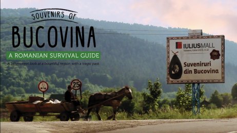 Souvenirs Of Bucovina: A Romanian Survival Guide